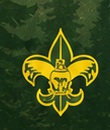 Scouting fleur-de-lis